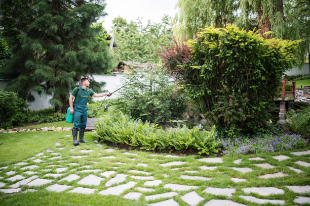 Professional Pest Control in Rice, TX