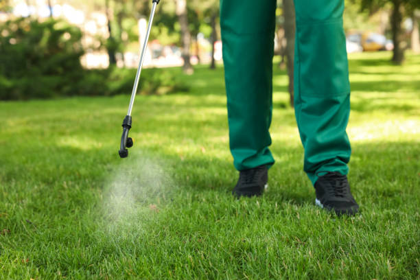 Best Mosquito Control Services  in Rice, TX