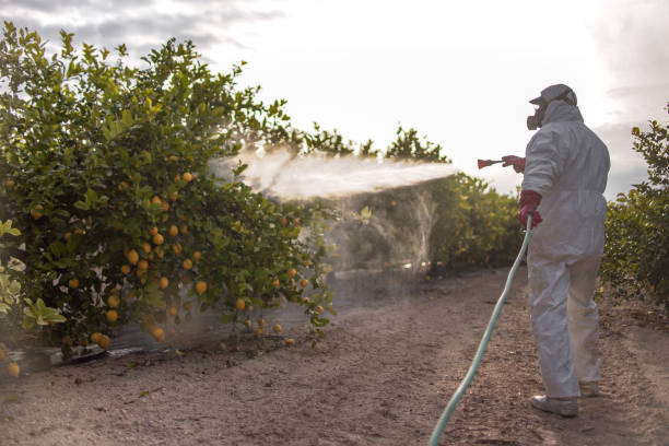 Best Exterminator Services  in Rice, TX