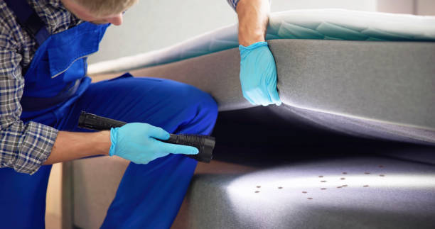 Best Pest Control Treatment  in Rice, TX