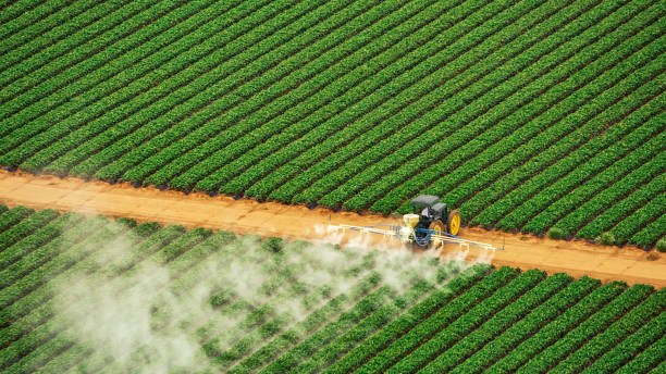 Best Bed Bug Extermination  in Rice, TX