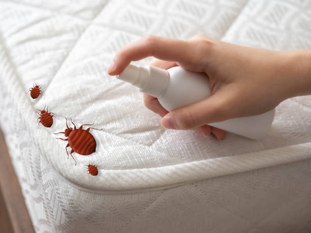 Best Ant Control Services  in Rice, TX