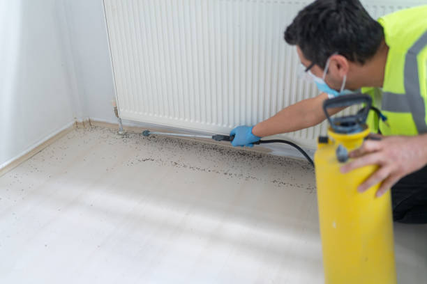 Best Affordable Pest Control Services  in Rice, TX