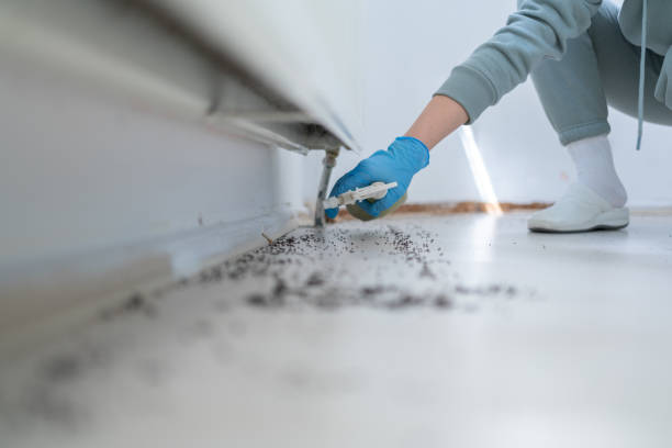 Best Local Pest Control Services  in Rice, TX