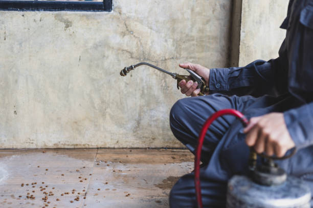 Best Pest Prevention Services  in Rice, TX